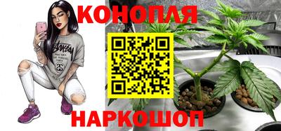 трава Рыбинск