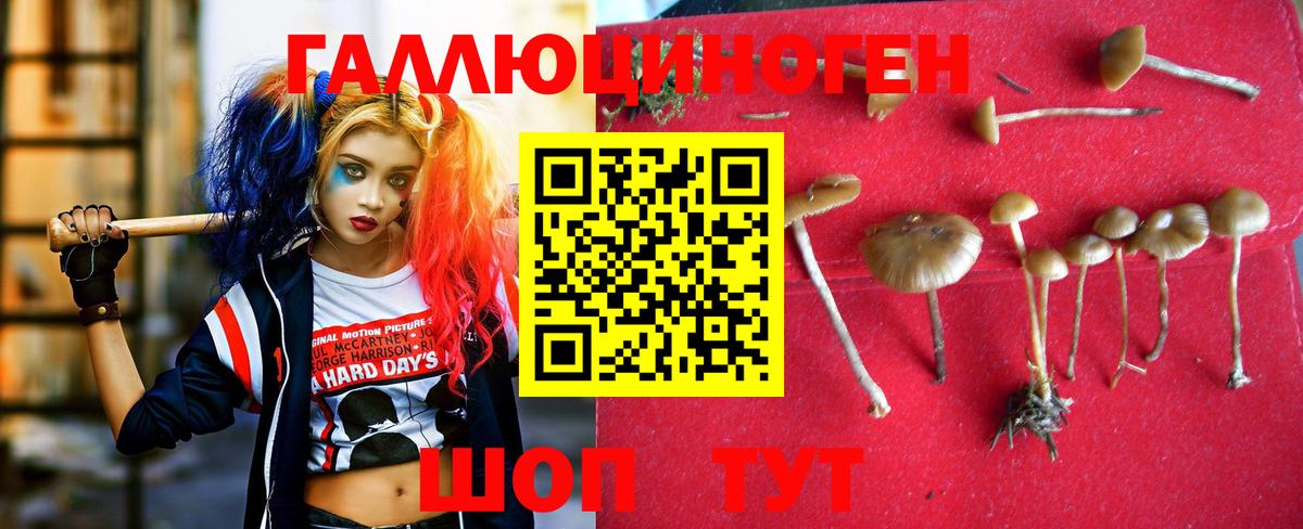 Галлюциногенные грибы мицелий Омск